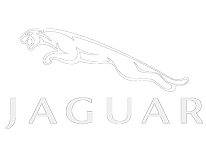 Jaguar Jaguar