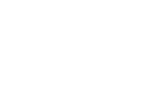 Porsche Porsche