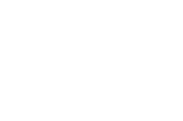 Lexus Lexus